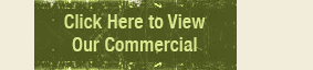 view commercial